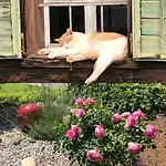 Bender Mit Terrasse Und Garten