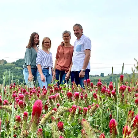Bender Mit Terrasse Und Garten Appartement Straden