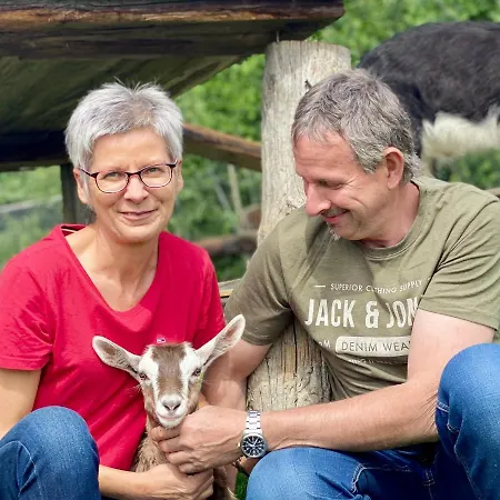 Apartment Bender Mit Terrasse Und Garten Straden