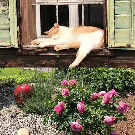 Bender Mit Terrasse Und Garten