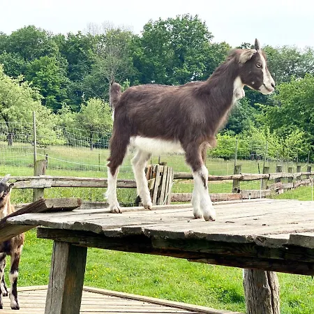 Bender Am Bio Bauernhof * Straden