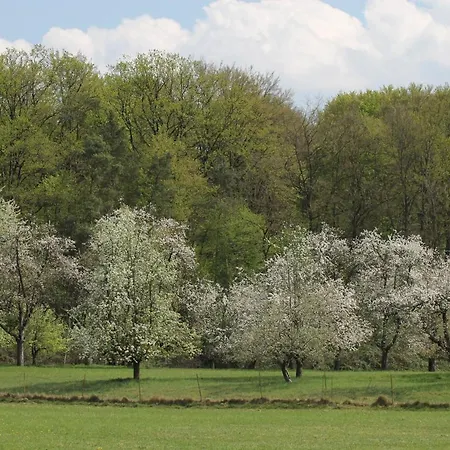 Bender Mit Terrasse Und Garten * Straden