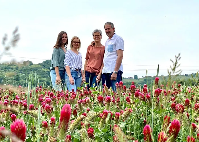 Bender Mit Terrasse Und Garten 아파트 Straden