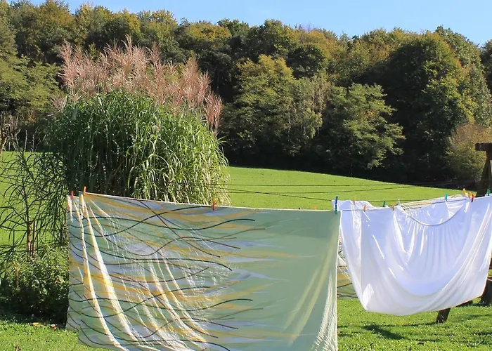 Bender Mit Terrasse Und Garten *