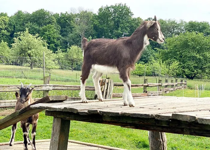 Bender Mit Terrasse Und Garten * Straden