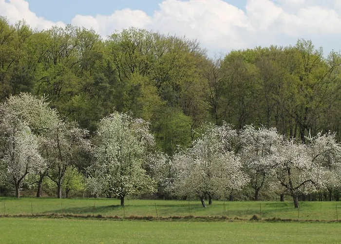 Bender Mit Terrasse Und Garten * Straden